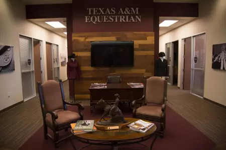 Equine Complex