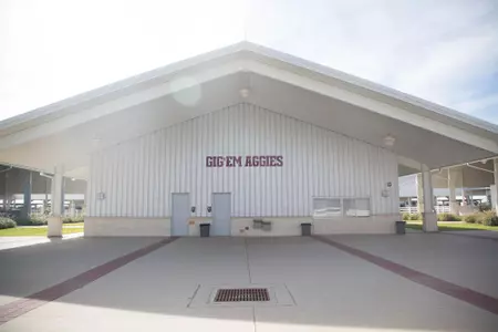 Equine Complex