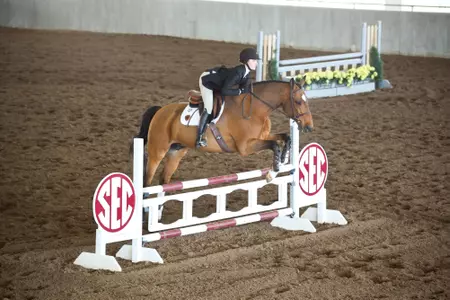 Rebekah Chenelle on Vivaldi