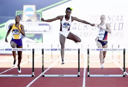 Shamier Little - 2016 NCAA title