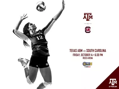 Match Preview Volleyball South Carolina Home