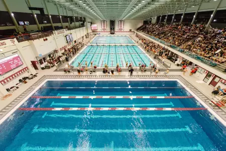 Rec pool
