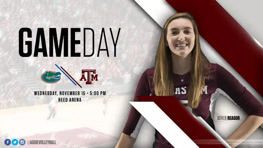 Volleyball Preview Florida