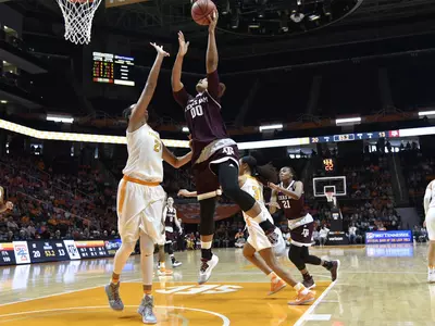 Hillsman vs. Tennessee