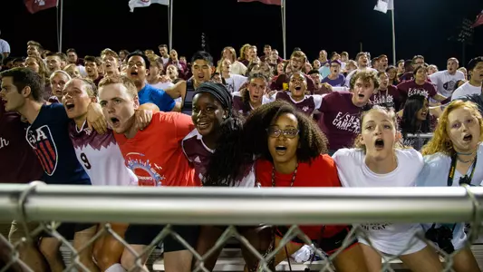 Soccer Crowd