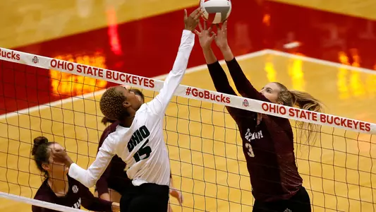 Brookah Palmer vs. Ohio