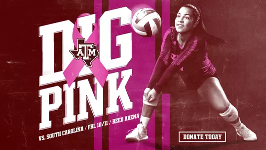 Volleyball Dig Pink