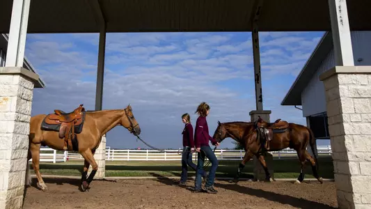 Horse Practice