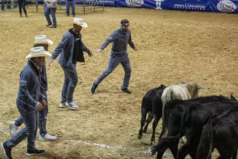 HOUSTON, TX - DECEMBER 23, 2019 - Football Bowl Rodeo in Houston, TX. Photo By Craig Bisacre/Texas A&M Athletics