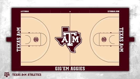 New Reed Arena Court 2018-19
