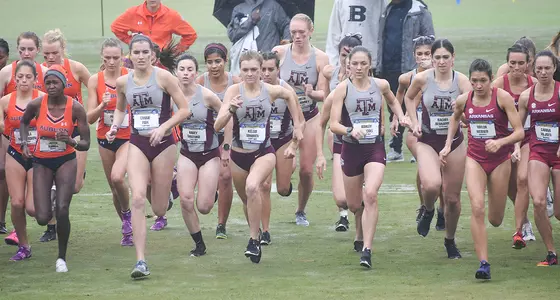 Women's cross country - 2019 APR honor