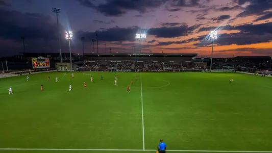 Ellis Field 2019
