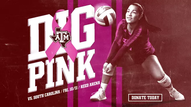 Dig Pink 2019