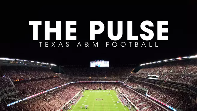 The Pulse: Season Six | 2019