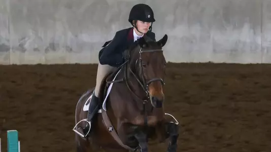 Haley Redifer Fences