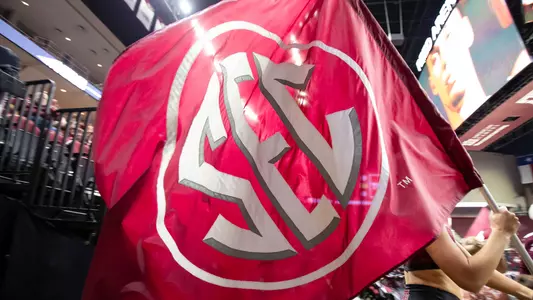 Generic SEC Logo Flag