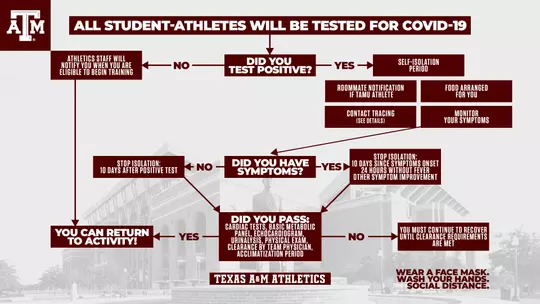 Student-Athlete Covid Flowchart