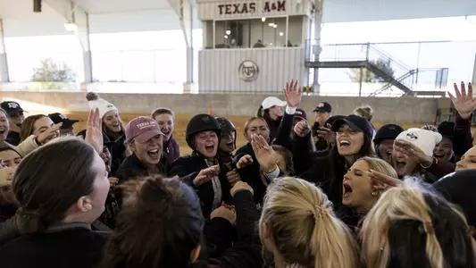 Equestrian Celebration