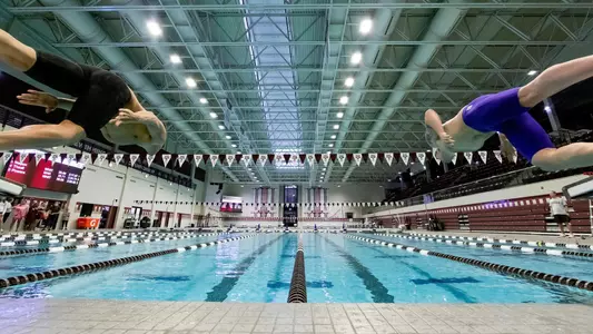 Men's swimmers diving in the water