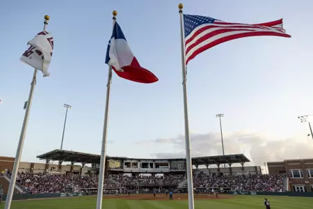 Davis Diamond flags