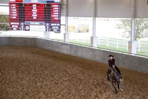 COLLEGE STATION, TX - November 18, 2021 - during the game between the Auburn Tigers and the Texas A&M Aggies at Hildebrand Equine Complex in College Station, TX. Photo By Kate Luffman/Texas A&M Athletics