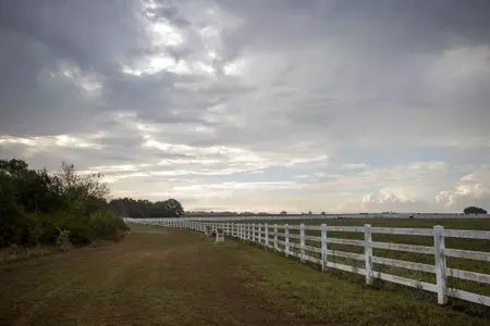 COLLEGE STATION, TX - August 19, 2022 - during cross country practice in College Station, TX. Photo By Aiden Shertzer/Texas A&M Athletics