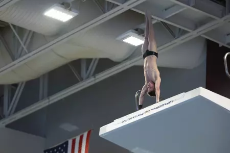 Dive