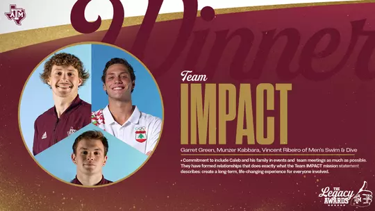 Team Impact Barriers Award