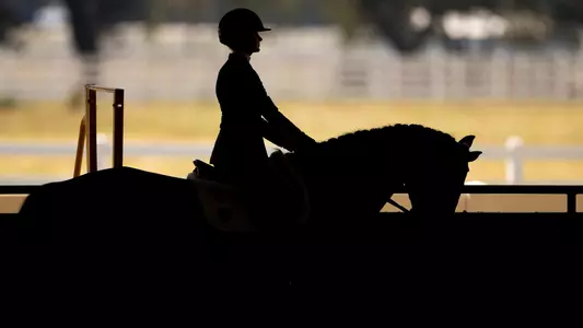 EQ Silhouette Photo 2023