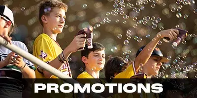 Baseball Promotions Gameday Tile