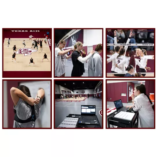 Sports Science Kinexon Monitoring Volleyball