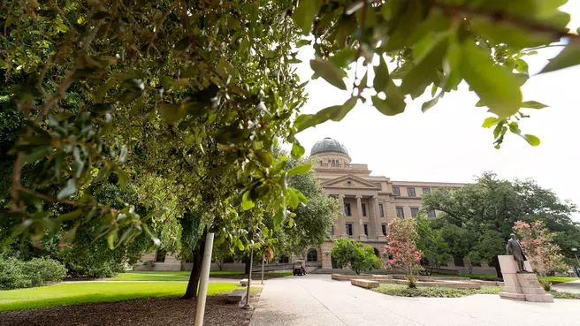 Texas A&M Athletics Degree Completion Program