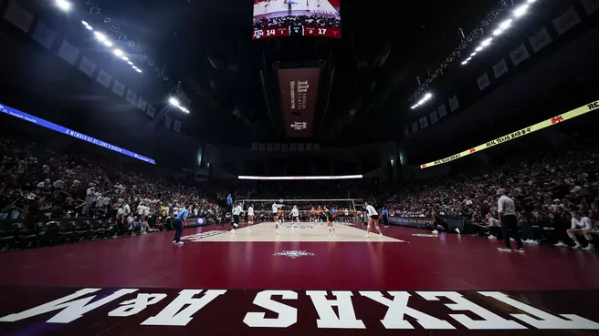 Texas A&M Volleyball Stats Archive