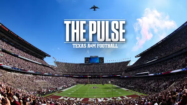 The Pulse #12.4 Thumbnail