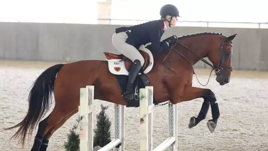 Equestrian