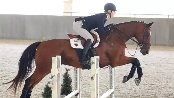 Equestrian