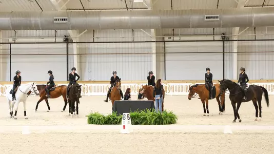 Equestrian