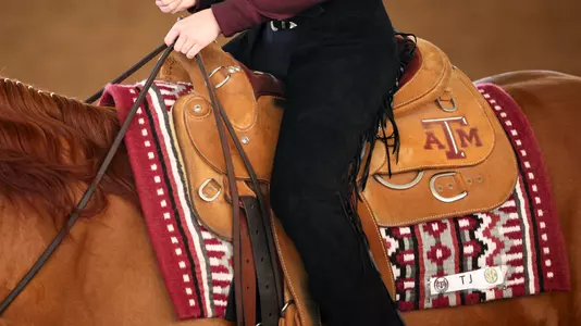 Equestrian