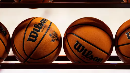 generic gfx basketball