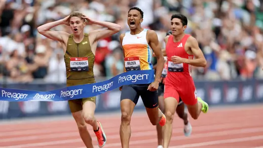 Donavan 800