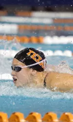 2013 women's swimming and diving