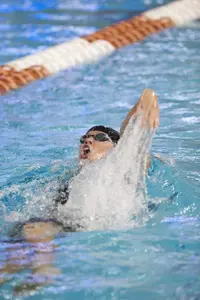 Lily Moldenhauer