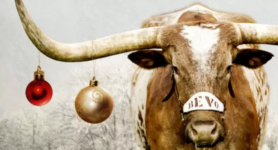 131225 Holiday Greeting - Bevo