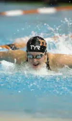 2013 women's swimming and diving