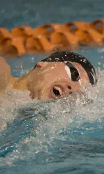 men's swimming and diving 2013