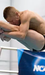 men's swimming and diving