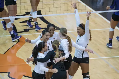 Texas longhorns