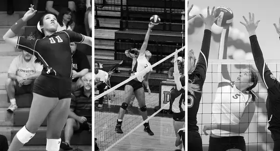 volleyball signing day 2014