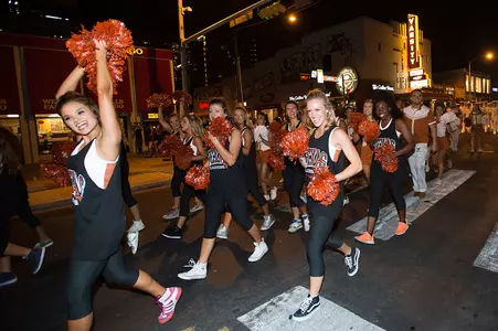Texas Pom
