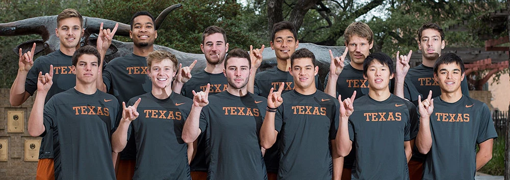 2015 Men's Tennis
